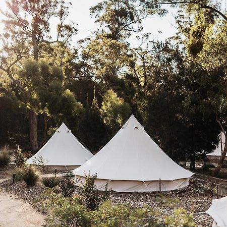 Bay Of Fires Bush Retreat Bed and Breakfast Binalong Bay Εξωτερικό φωτογραφία