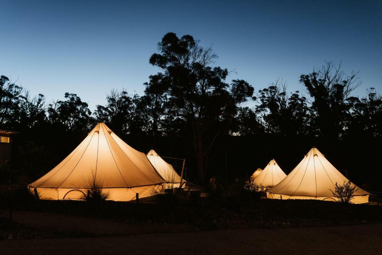 Bay Of Fires Bush Retreat Bed and Breakfast Binalong Bay Εξωτερικό φωτογραφία